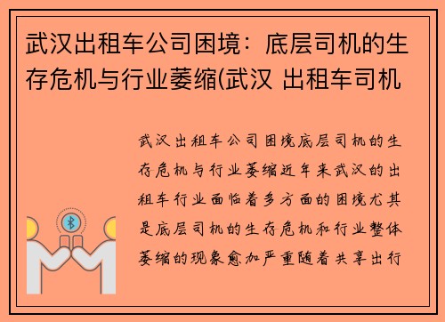 武汉出租车公司困境：底层司机的生存危机与行业萎缩(武汉 出租车司机)