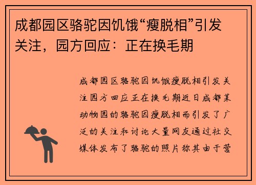成都园区骆驼因饥饿“瘦脱相”引发关注，园方回应：正在换毛期